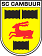 sf_vraagstukken icon